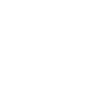 icône Facbook