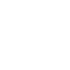 Icone LinkedIn
